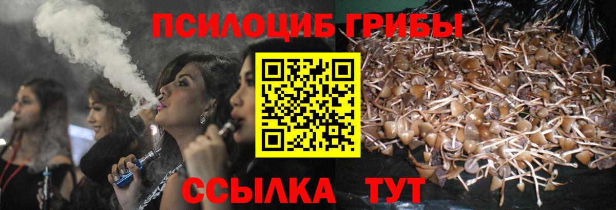 Галлюциногенные грибы Psilocybine cubensis  Вход с VPN  Астрахань 