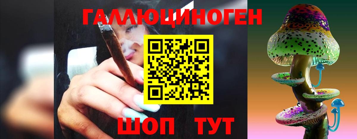 Галлюциногенные грибы Psilocybine cubensis Астрахань